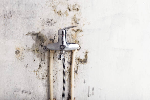 Best Water Damage Restoration  in Pasatiempo, CA