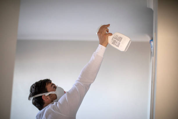 Mold Removal and Inspection in Pasatiempo, CA