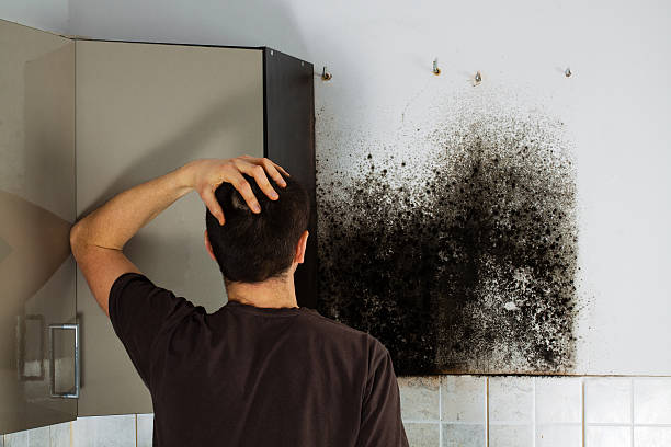 Water Damage Restoration in Pasatiempo, CA