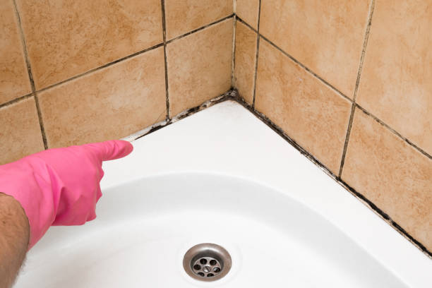 Best Office Mold Removal Services  in Pasatiempo, CA